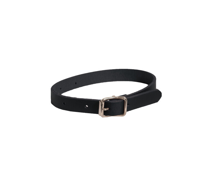 TRANEMO Ankle Strap image